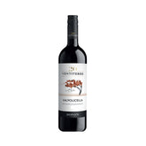 Zonin Ventiterre Valpolicella 2017 750ml