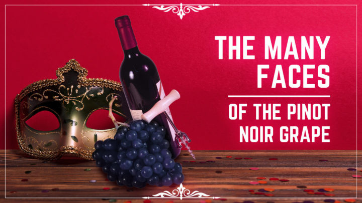 the many faces of the pinot noir grape