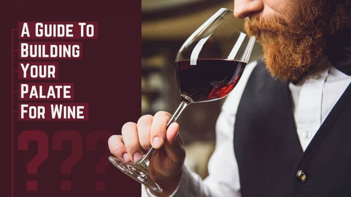 a guide to building your palate for wine