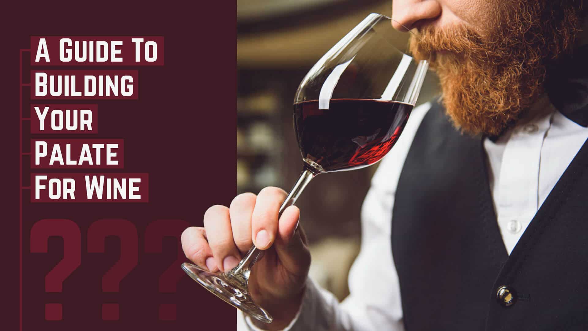 a-simple-guide-to-building-your-palate-for-wine-century-wines-spirits